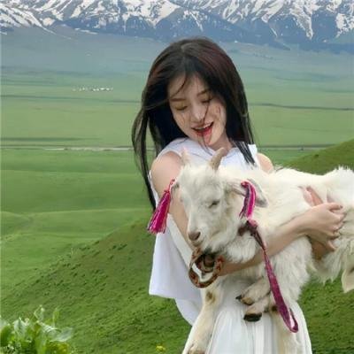 血界战线第二季